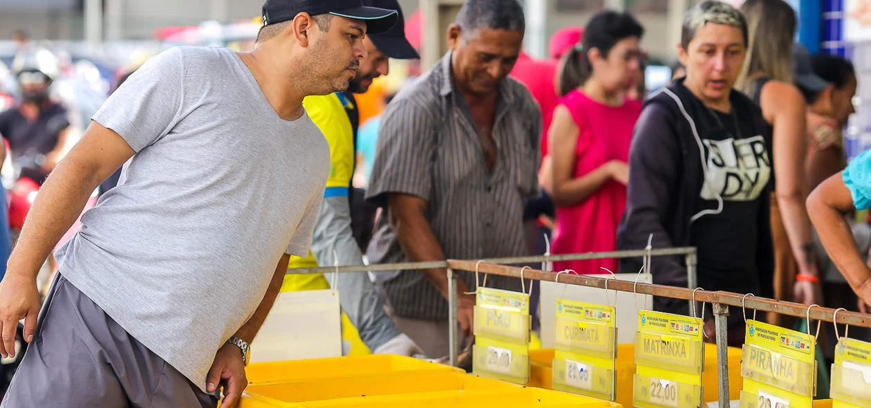 Cliente observando mercadoria no Mercado do Peixe de Teresina
