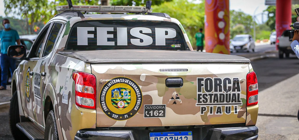 Força Estadual do Piauí