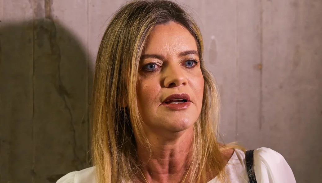 Gracinha Mão Santa, Deputada Estadual