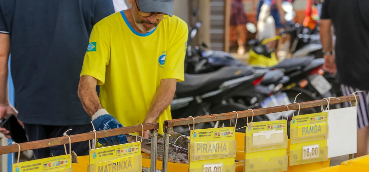 Lojista analisando peixes no Mercado do Peixe de Teresina