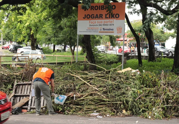 O lixo jogado em lugares impróprios pode formar verdadeiros focos de doenças e comprometer o meio ambiente