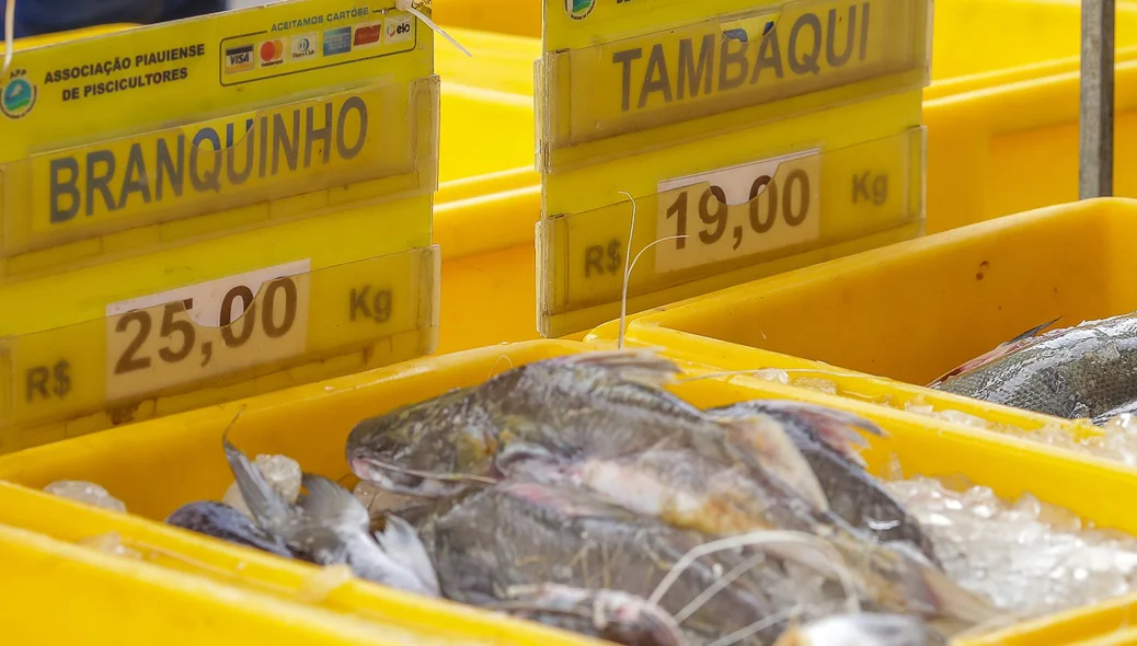 Peixe branquinho e tambaqui