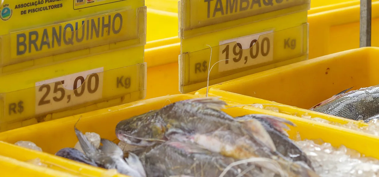 Peixe branquinho e tambaqui