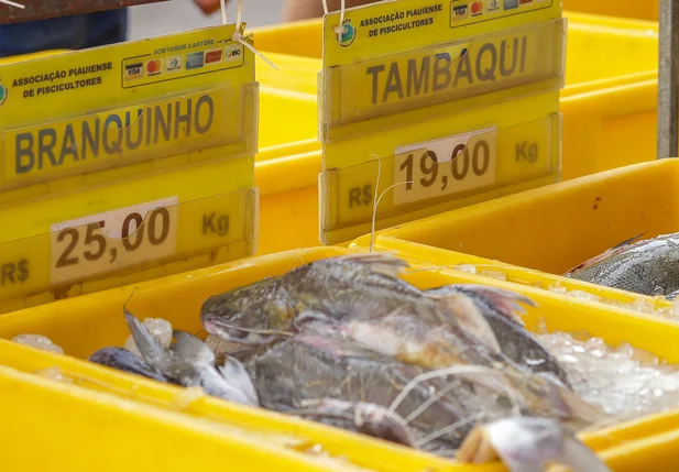 Peixe branquinho e tambaqui