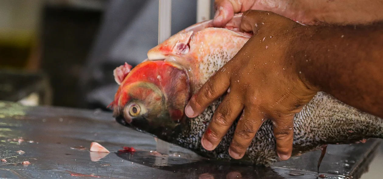 Peixe sendo tratado no Mercado do Peixe de Teresina