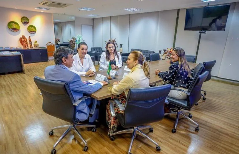 Piauienses em reunião com o Ministro do Desenvolvimento Social e Combate à Fome, Wellington Dias