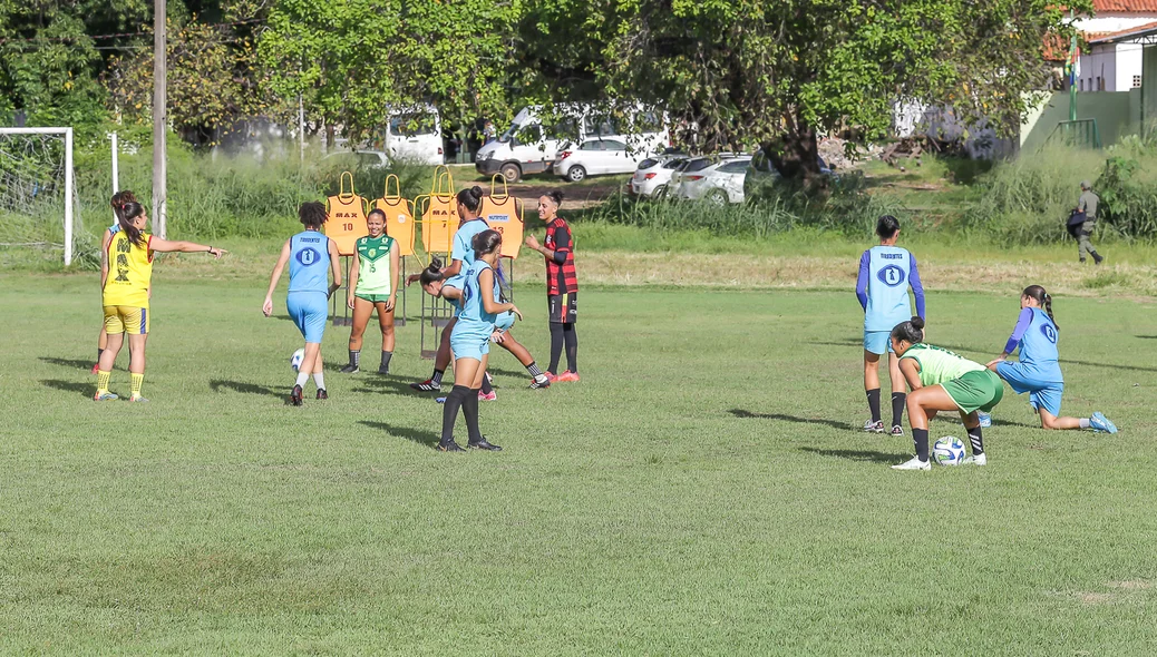 Tigresas treinaram no campo do CFAP