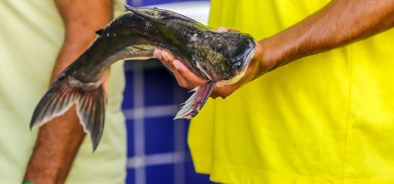 Vendedor expondo peixe no Mercado do Peixe de Teresina
