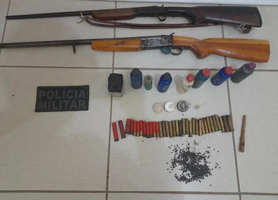 Armas apreendidas em Eliseu Martins