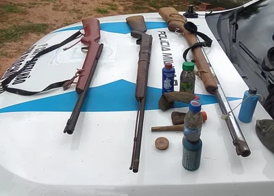 Armas de fogo apreendidas