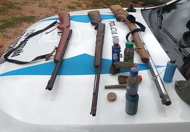 Armas de fogo apreendidas