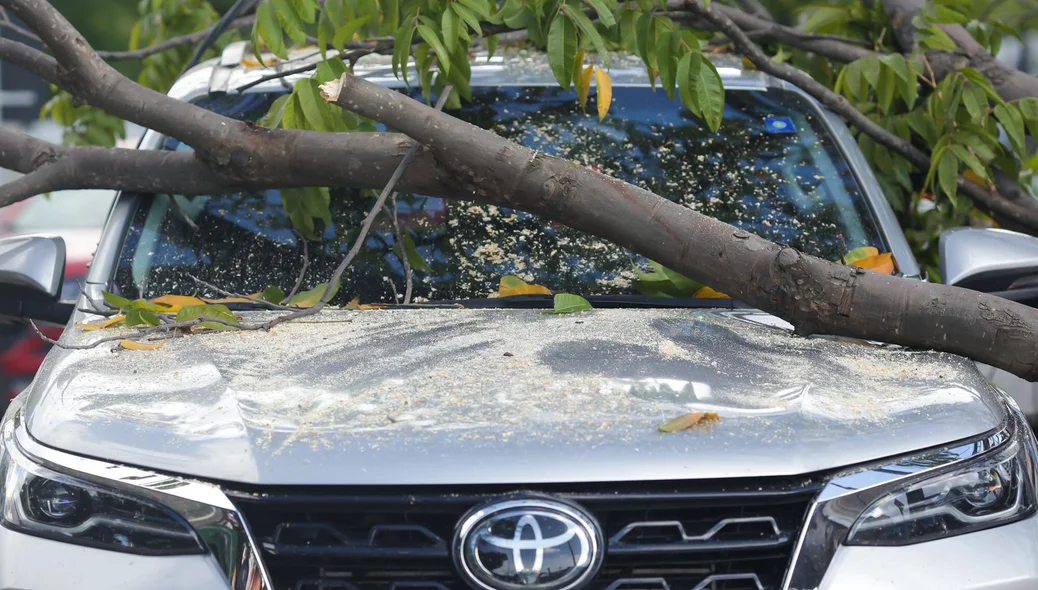 Árvore caiu sobre SW4 na Avenida Nossa Senhora de Fátima