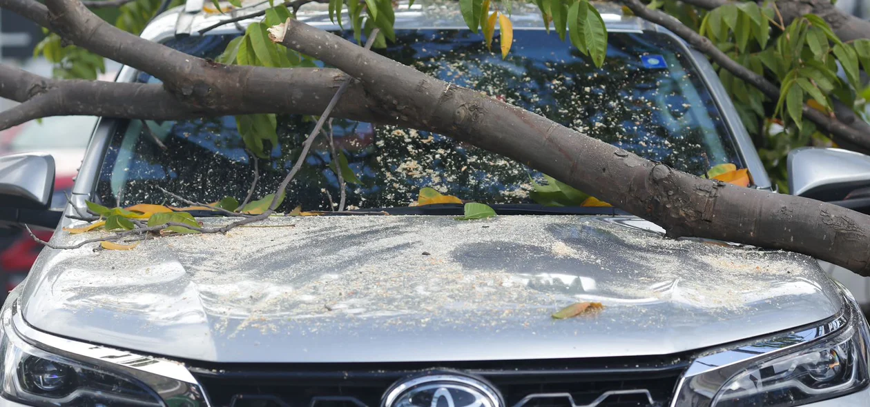 Árvore caiu sobre SW4 na Avenida Nossa Senhora de Fátima