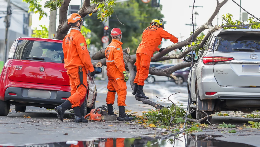 Bombeiros tiveram muito trabalho para remover os galhos da árvores