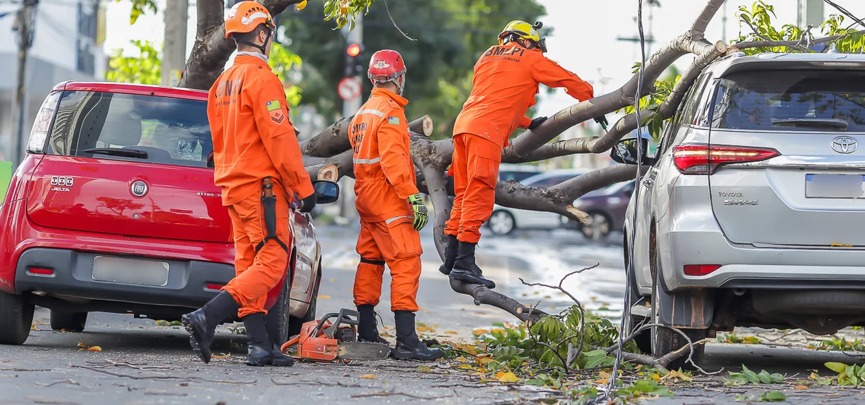 Bombeiros tiveram muito trabalho para remover os galhos da árvores