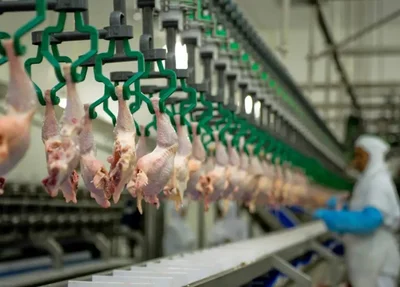 Cerca de 71% da produção de frango no Brasil é consumido no mercado interno