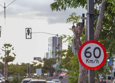 DNIT remove radares de velocidade na Avenida João XXIII em Teresina