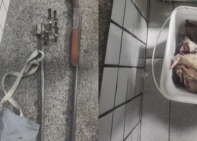 Espingarda e animais abatidos apreendidos em posse de um caçador em Alto Longá