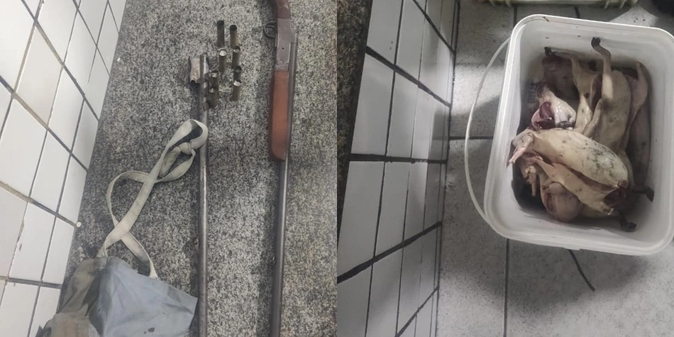 Espingarda e animais abatidos apreendidos em posse de um caçador em Alto Longá
