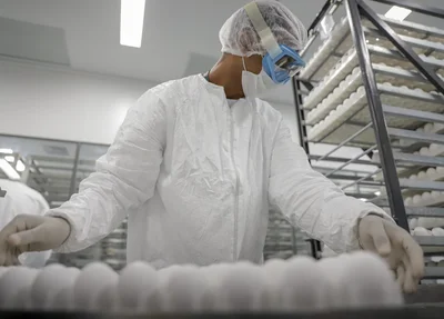 Governo declara emergência zoossanitária por causa de gripe aviária