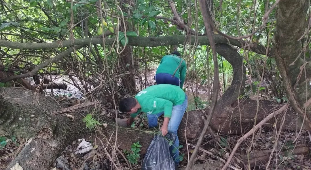 Limpeza e coleta de lixo em nascentes de Joaquim Pires