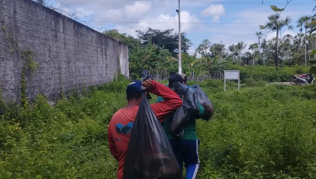 Limpeza em Joaquim Pires