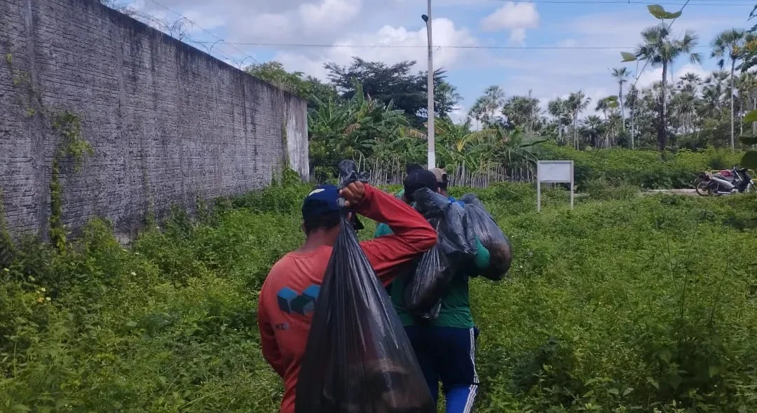 Limpeza em Joaquim Pires
