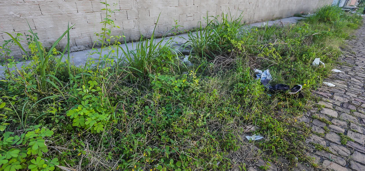 Lixo e mato alto tomam conta de calçada e da rua