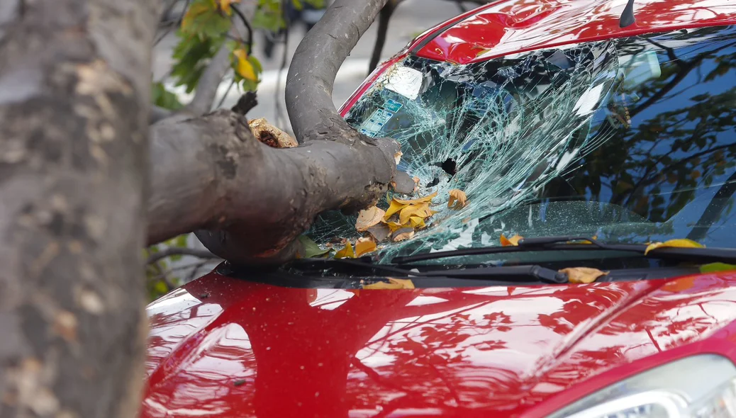 Para-brisa do Fiat Uno ficou destruído