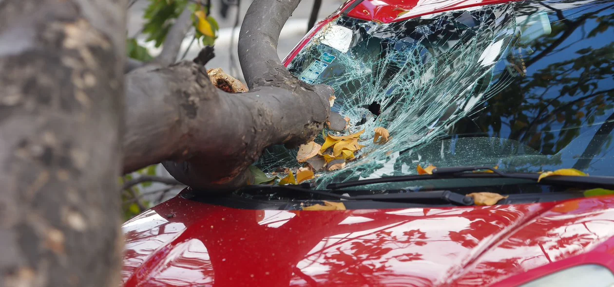 Para-brisa do Fiat Uno ficou destruído