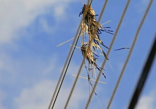 Pipas na rede elétrica podem causar acidentes, alerta Equatorial Piauí