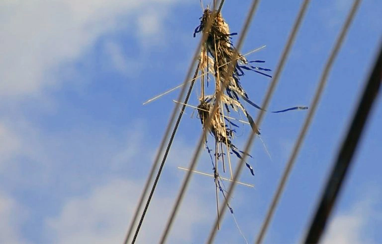 Pipas na rede elétrica podem causar acidentes, alerta Equatorial Piauí