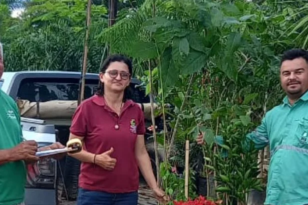 Plantação de mudas em Passagem Franca do Piauí
