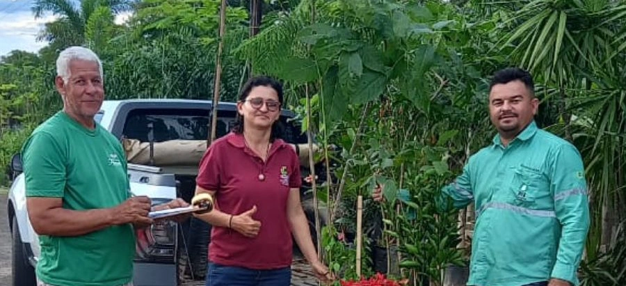 Plantação de mudas em Passagem Franca do Piauí
