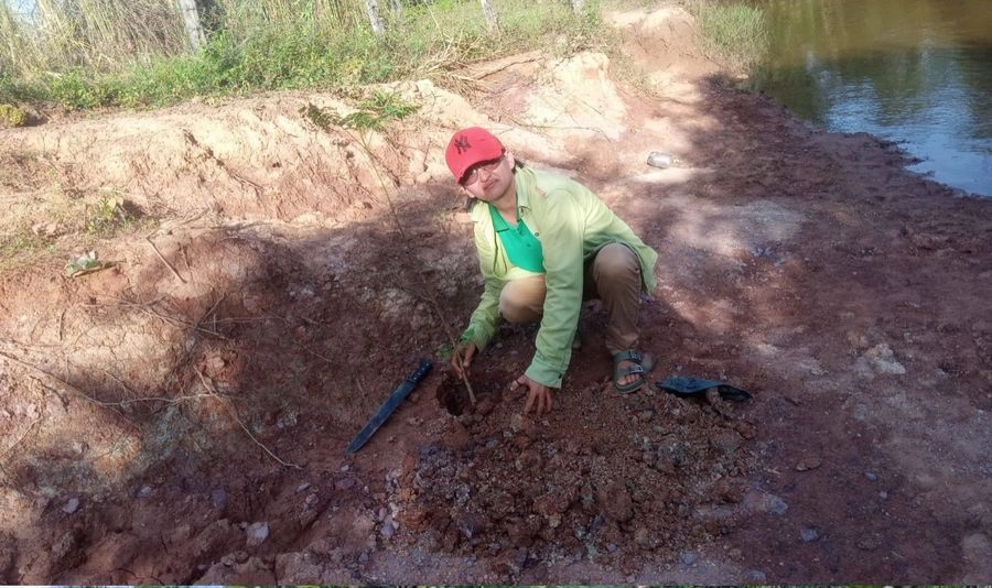 Plantação de mudas em Passagem Franca do Piauí
