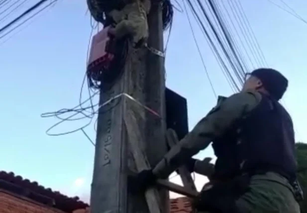 Policiais resgatam bicho-preguiça em poste na zona norte de Teresina