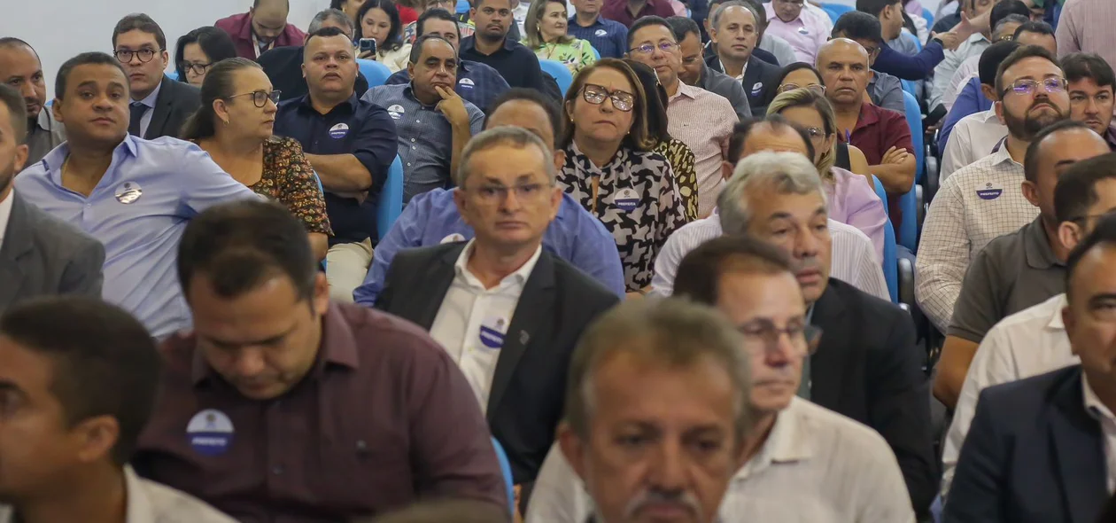 Prefeitos e prefeitas piauienses