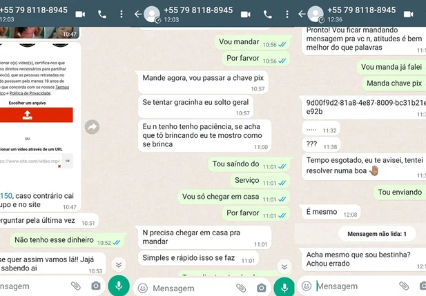 Prints da conversa entre a vítima e o criminoso que mostram a extorsão