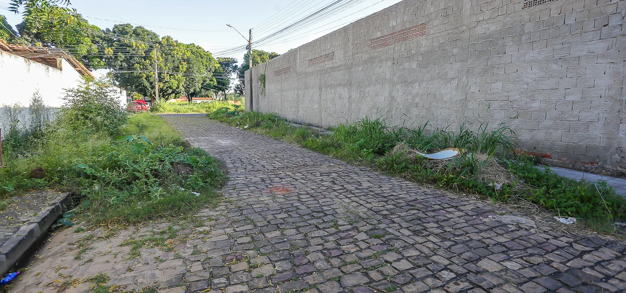 Rua está tomada por mato e lixo