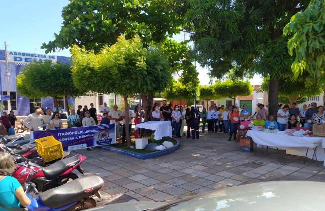 Saúde de Itainópolis realiza mobilização contra mosquito Aedes Aegyti
