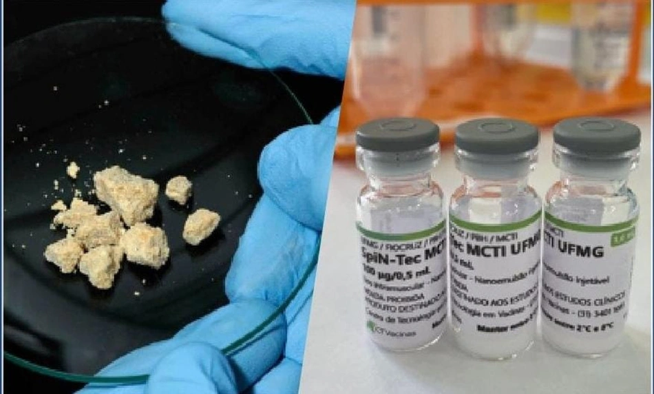 Universidade Federal de Minas Gerais concorre a prêmio pela vacina que trata dependência química