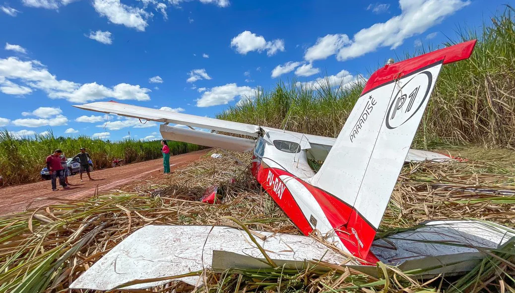 Aeronave ficou sob a vegetação