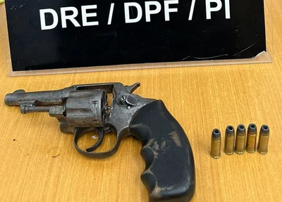 Arma apreendida pela PF
