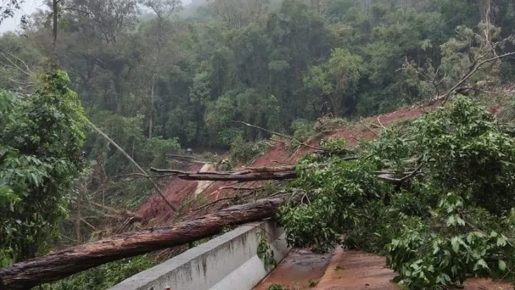 Árvores caem e bloqueiam estradas por conta das fortes chuvas