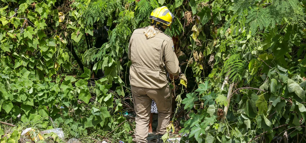 Bombeiros seguem caminho até o local da queda do avião