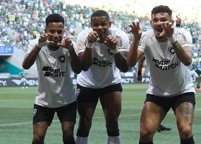 Botafogo venceu o Palmeiras e se isolou na liderança do Brasileirão