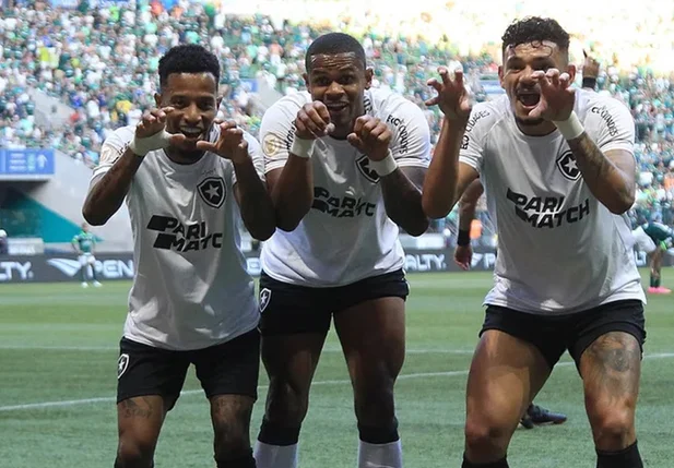 Botafogo venceu o Palmeiras e se isolou na liderança do Brasileirão