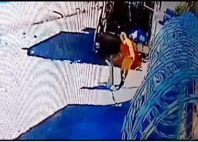 Cachorro foi jogado no compactador, logo após ter sido atropelado por caminhão da coleta de lixo em Teresina