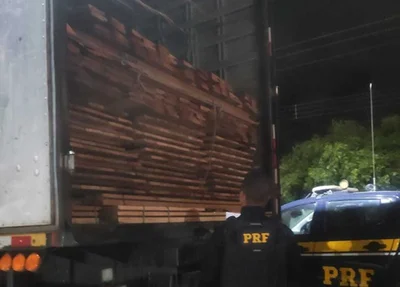Carga com 20 m³ foi apreendida pela PRF em Picos