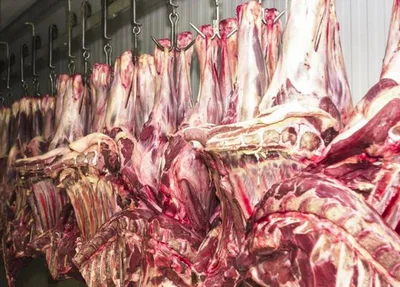 China autoriza entrada de carne brasileira no país.